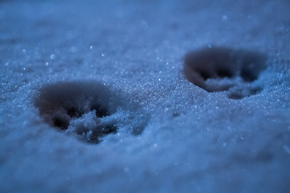 blue and white water droplets