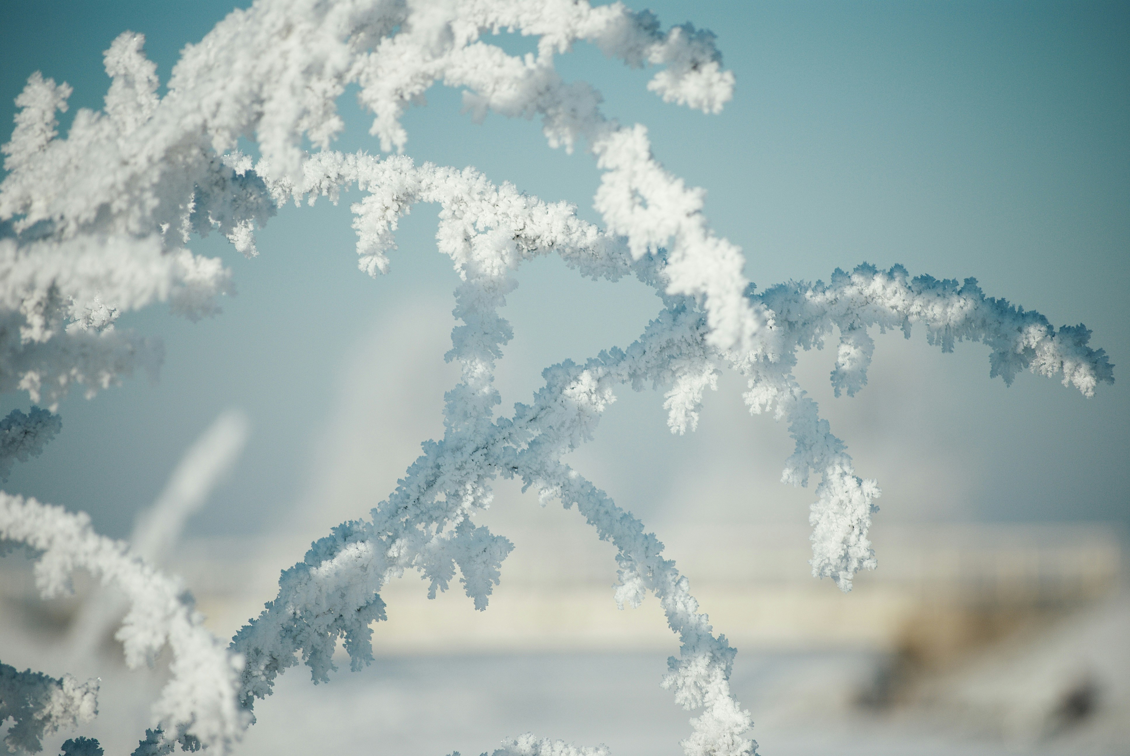 winter landscape wallpaper, wallpaper, Hypothermia: Recognizing Early Signs & Symptoms 5