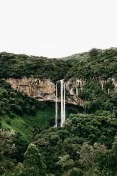 waterfalls in the middle of green trees