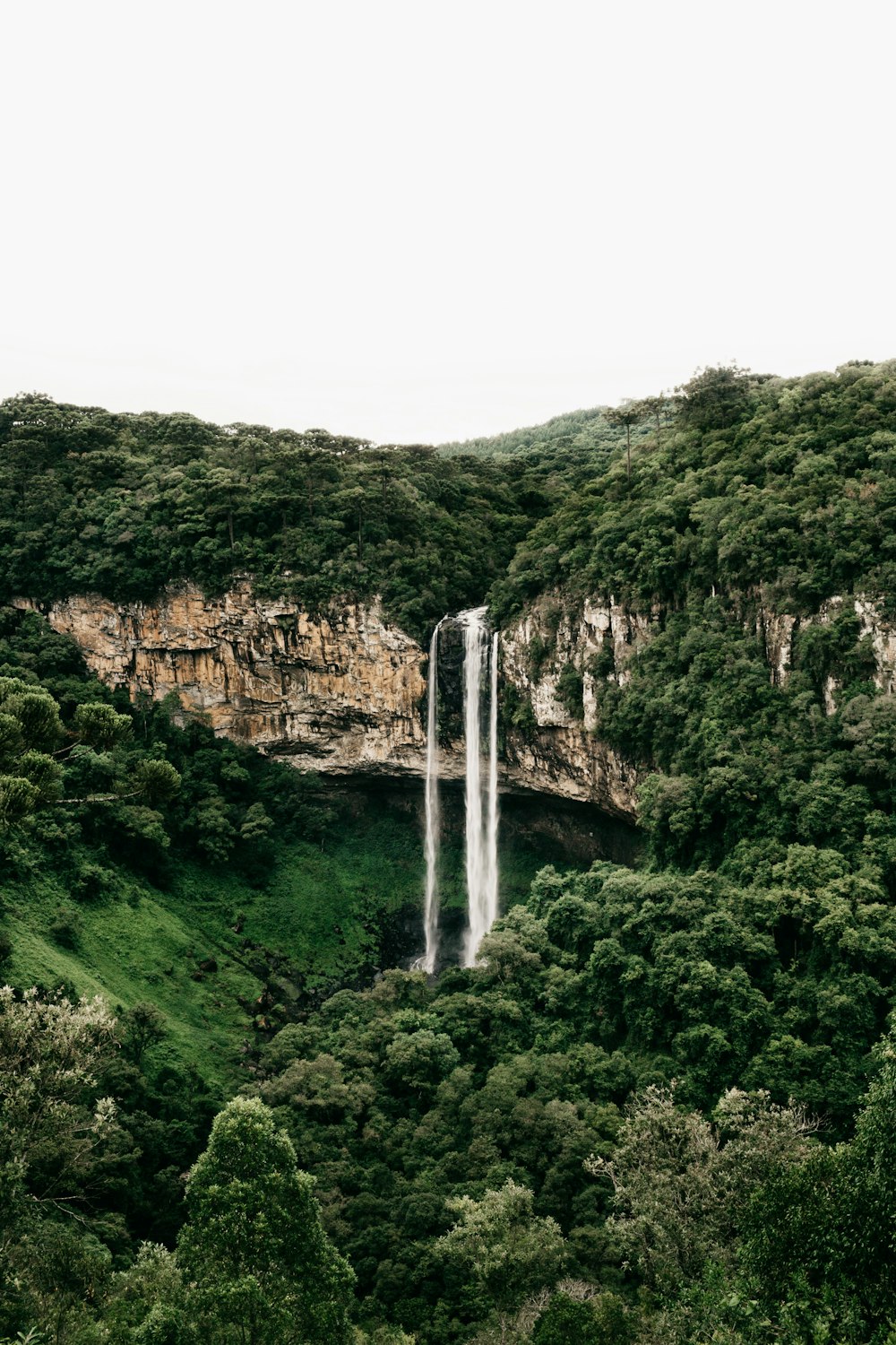 waterfalls in the middle of green trees