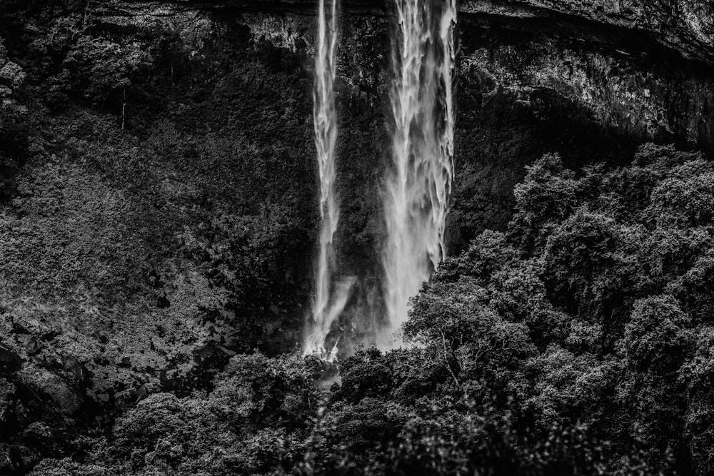 grayscale photo of water falls