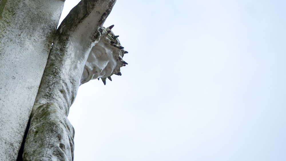 gray tree trunk during daytime