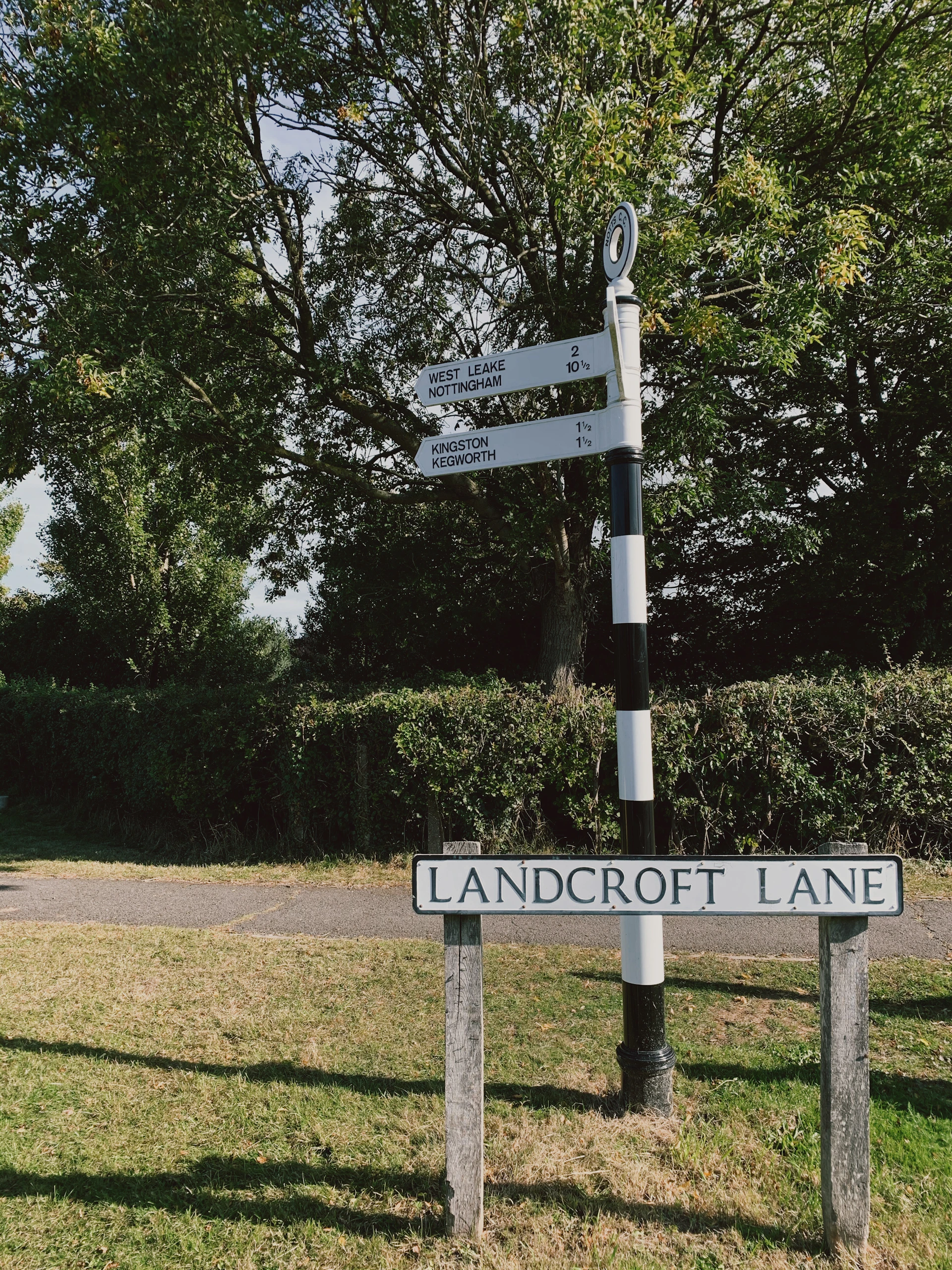 woman wearing yellow long-sleeved dress under white clouds and blue sky during daytime