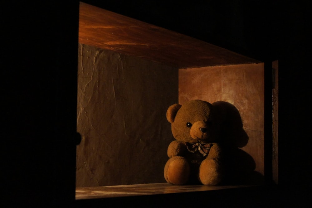 brown bear plush toy on brown wooden shelf
