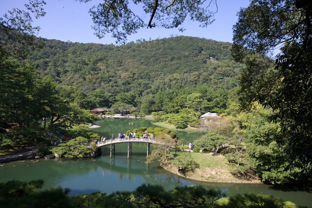 green trees near river during daytime