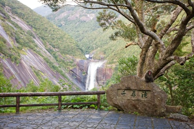 Senpiro Falls - Aus Yakushima Island, Japan