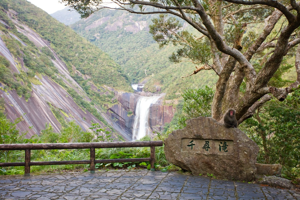 brown rock formation near waterfalls during daytime