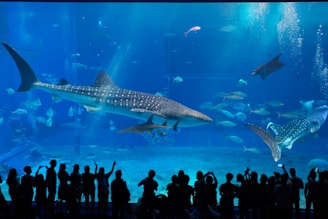group of people in front of fish tank