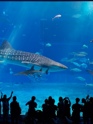 group of people in front of fish tank