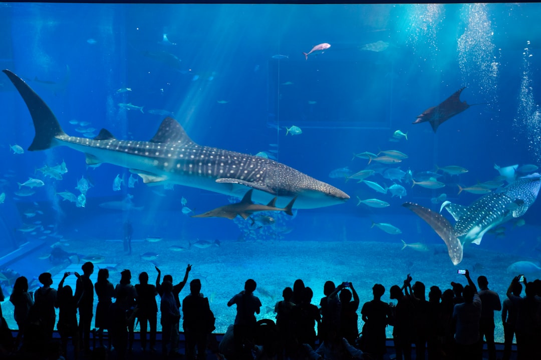 group of people in front of fish tank,