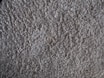 A close-up view of a textured, plush carpet with dense, fibrous strands in a neutral beige color.