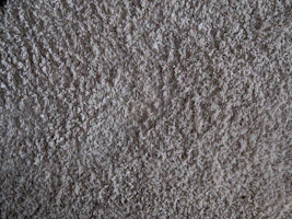 Close-up of a brown pet carpet texture showing its soft, plush fibers perfect for pets.