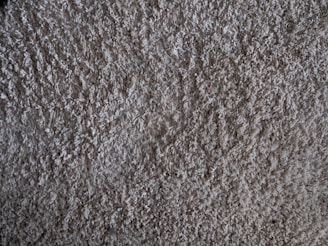 A close-up of a plush carpet showing its texture after cleaning.