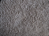 A satisfied customer admiring their freshly cleaned carpet, showcasing vibrant colors and restored texture.