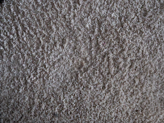 A close-up of a plush carpet with intricate patterns in warm tones.