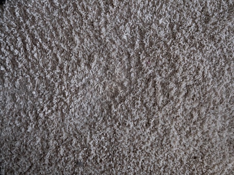Close-up of a technician cleaning a plush carpet with professional equipment.