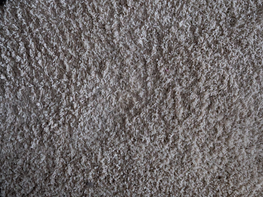 A close-up of a plush carpet with intricate patterns in warm tones.
