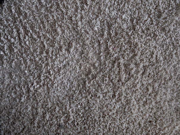 Cozy plush carpet with a rich, deep pile in a warm cream color.