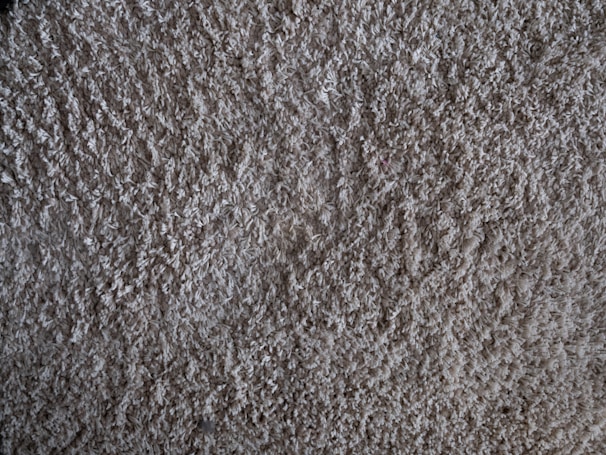 Close-up of a plush, cream-colored shag rug with thick, inviting fibers.