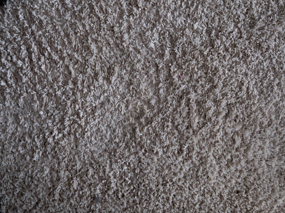 A close-up view of a textured, plush carpet with dense, fibrous strands in a neutral beige color.