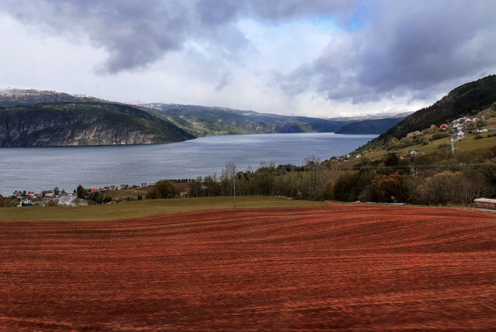 Grünes Grasfeld in der Nähe von Gewässern unter weißen Wolken tagsüber