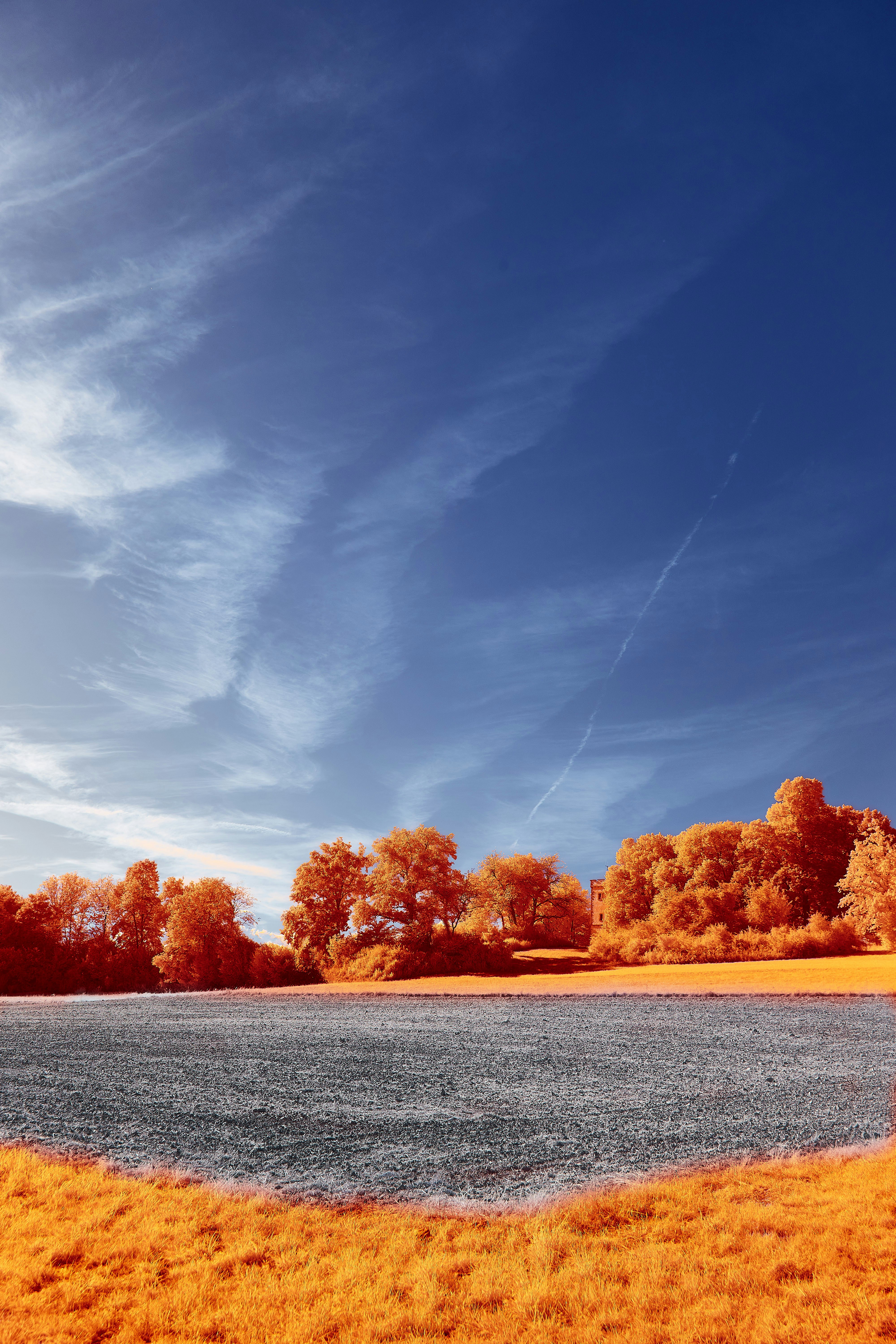 Photo by wolfgang_hasselmann