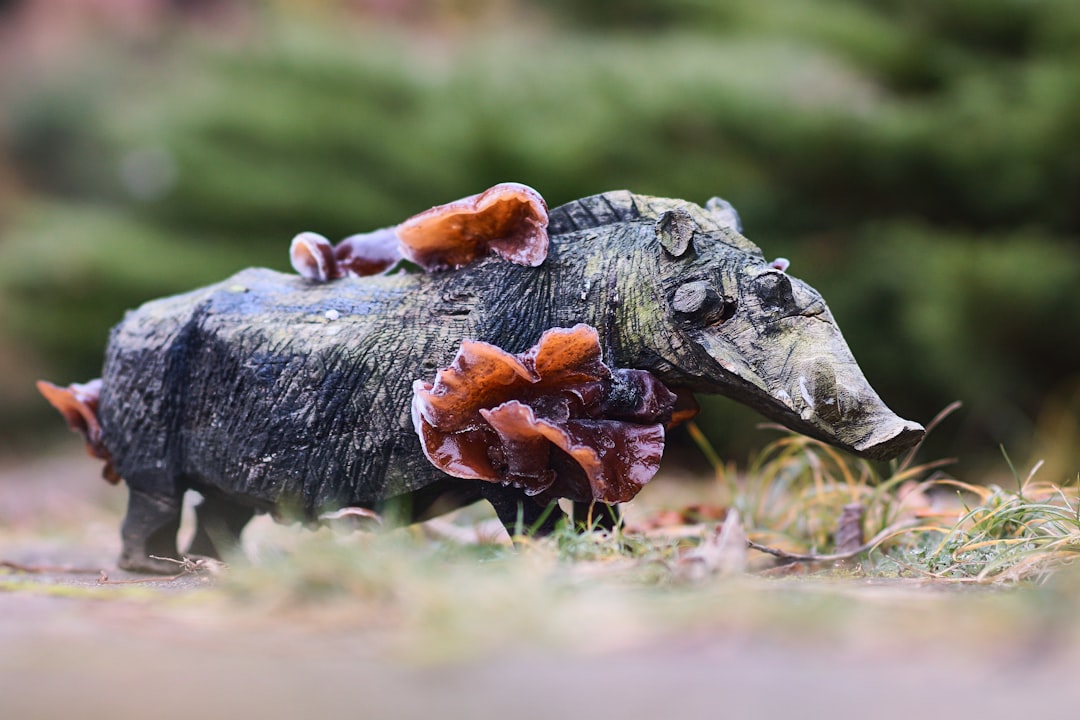 black and brown animal figurine on green grass during daytime