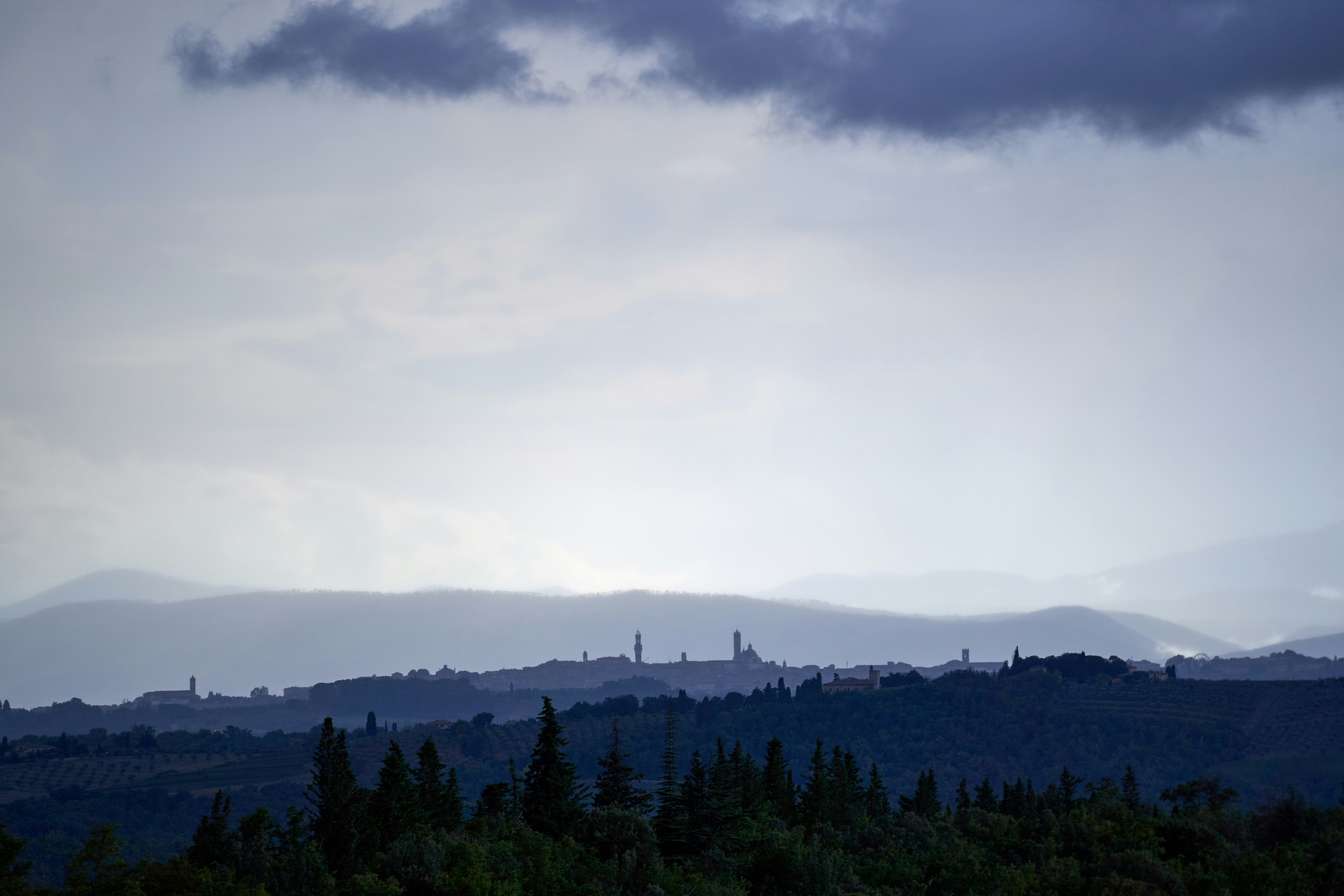 Photo by wolfgang_hasselmann