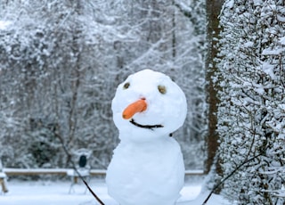 snowman on snow covered ground during daytime