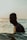topless man sitting on shore during daytime