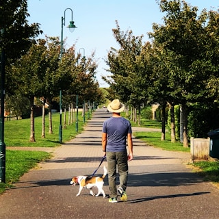 A person in a blue shirt and a straw hat walks a small dog on a tree-lined path. The path is paved, bordered by well-maintained grass and trees on both sides. Street lamps line the path, and in the distance, the path continues into the horizon.
