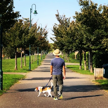 A person in a blue shirt and a straw hat walks a small dog on a tree-lined path. The path is paved, bordered by well-maintained grass and trees on both sides. Street lamps line the path, and in the distance, the path continues into the horizon.