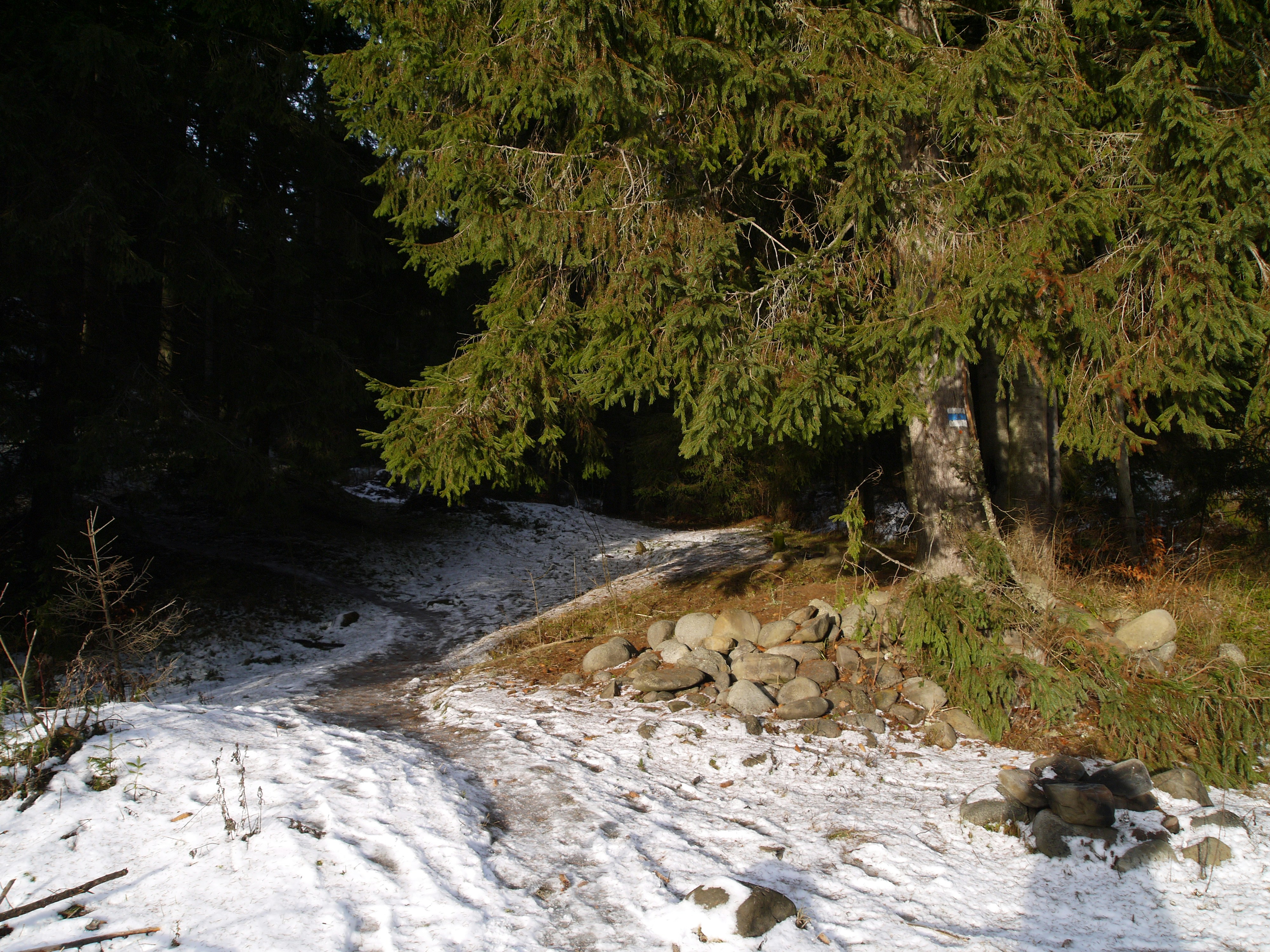 Photo by valentyna_kobrina