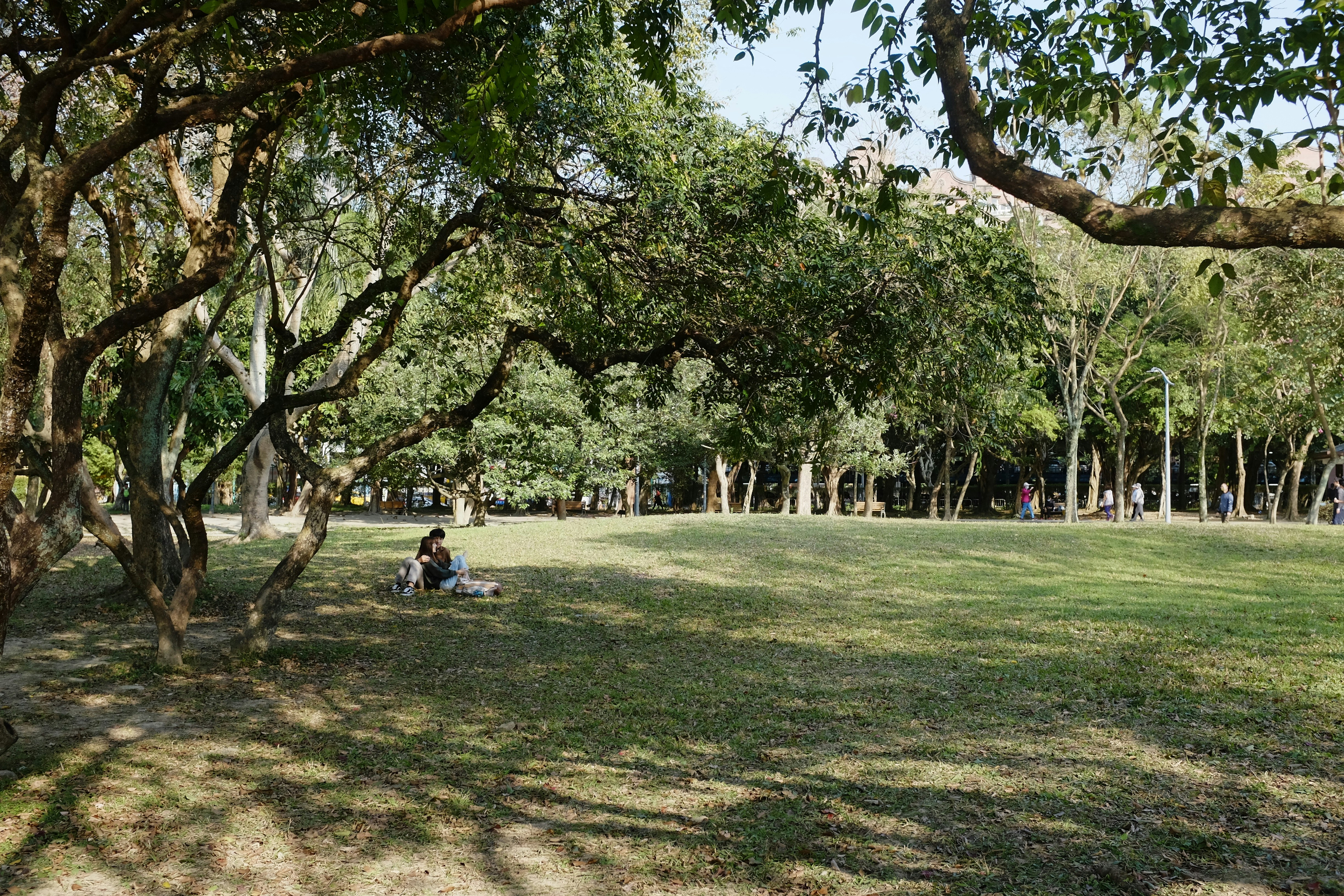 film