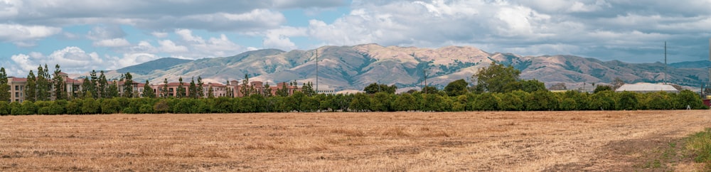 green trees and brown field near mountain under blue sky during daytime