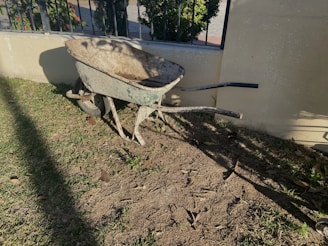 A weathered wheelbarrow resting under an old olive tree.