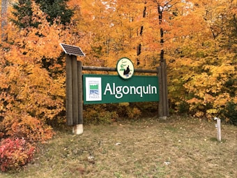 A large wooden sign reading 'Algonquin' with the Ontario Parks logo is set against a backdrop of vibrant autumn foliage with leaves in shades of orange and yellow. A small solar panel is attached to one of the wooden posts supporting the sign. The ground in front of the sign is covered with a mixture of grass and fallen leaves.