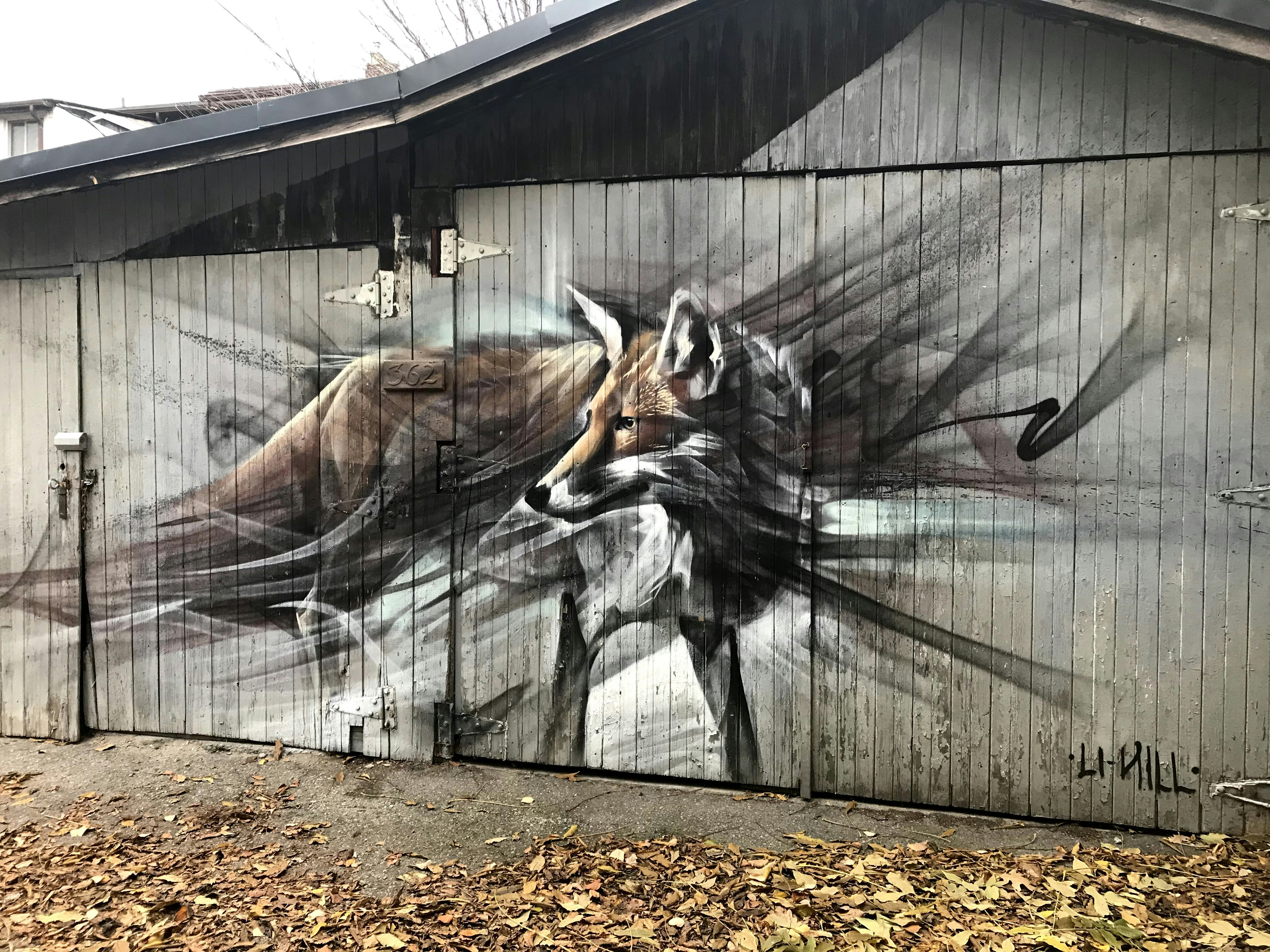 Rustic Fox Wall Art