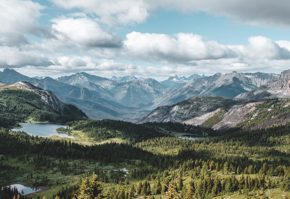 green trees near mountain under white clouds during daytime