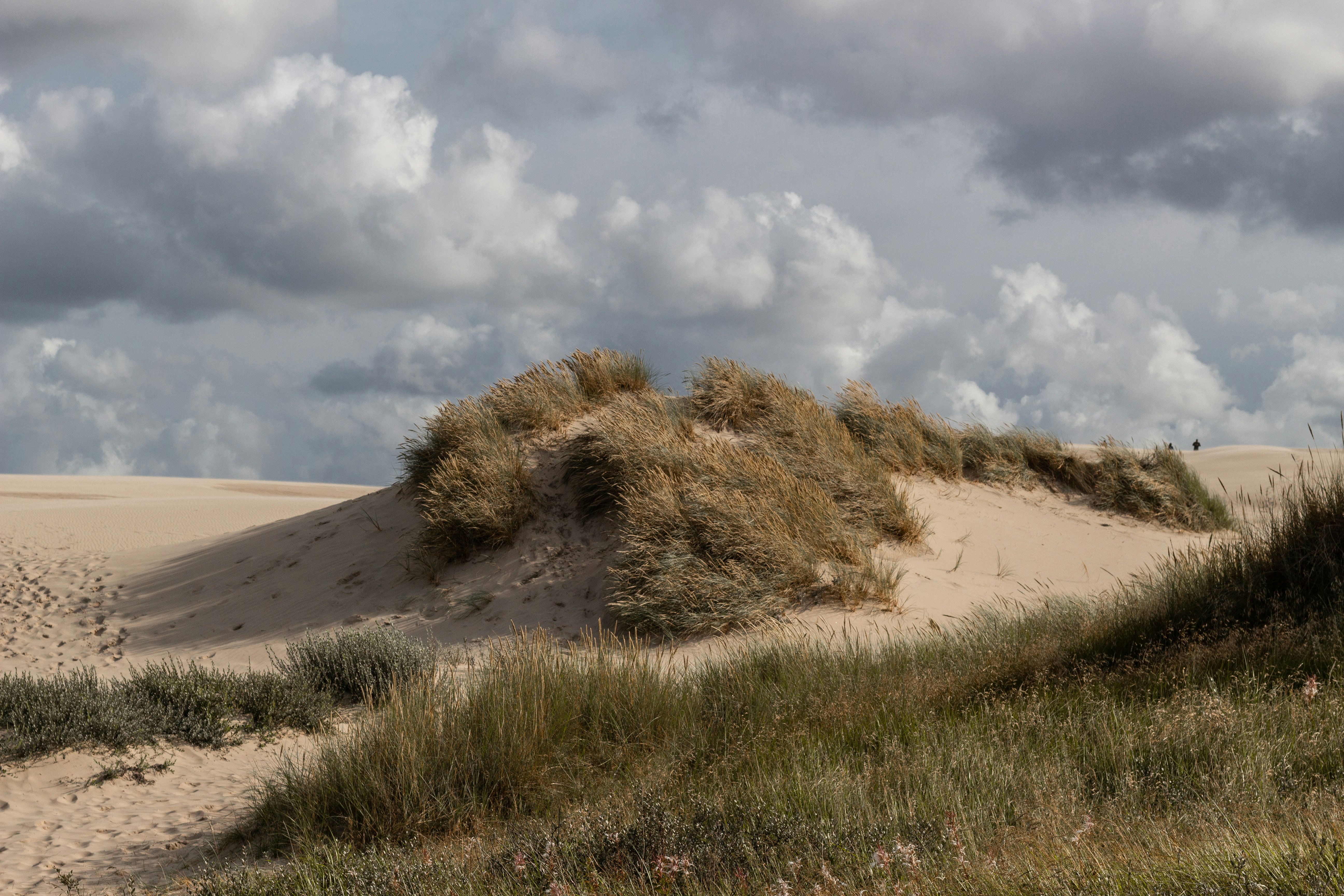 Photo by lucafranzoi98