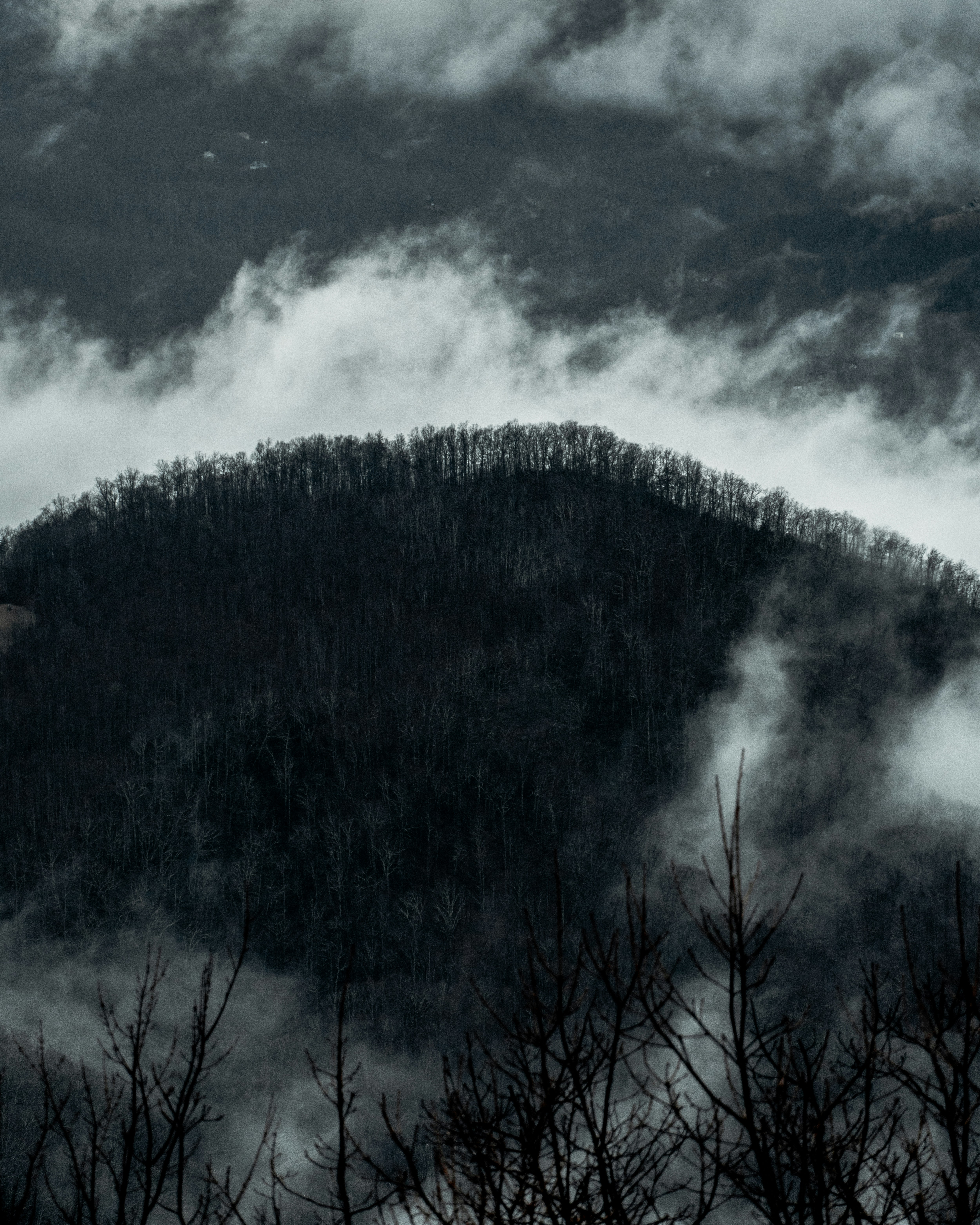 grayscale photo of trees and clouds