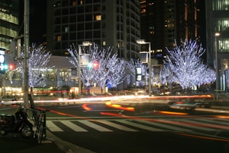 Roppongi: International Flair and Nightlife