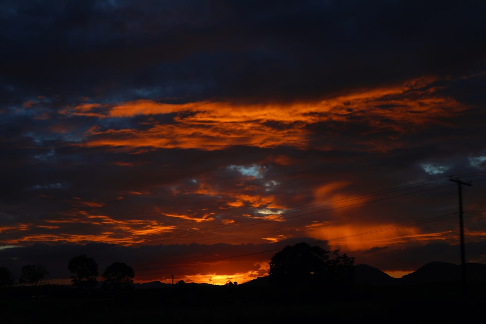 Silueta de árboles durante la puesta del sol