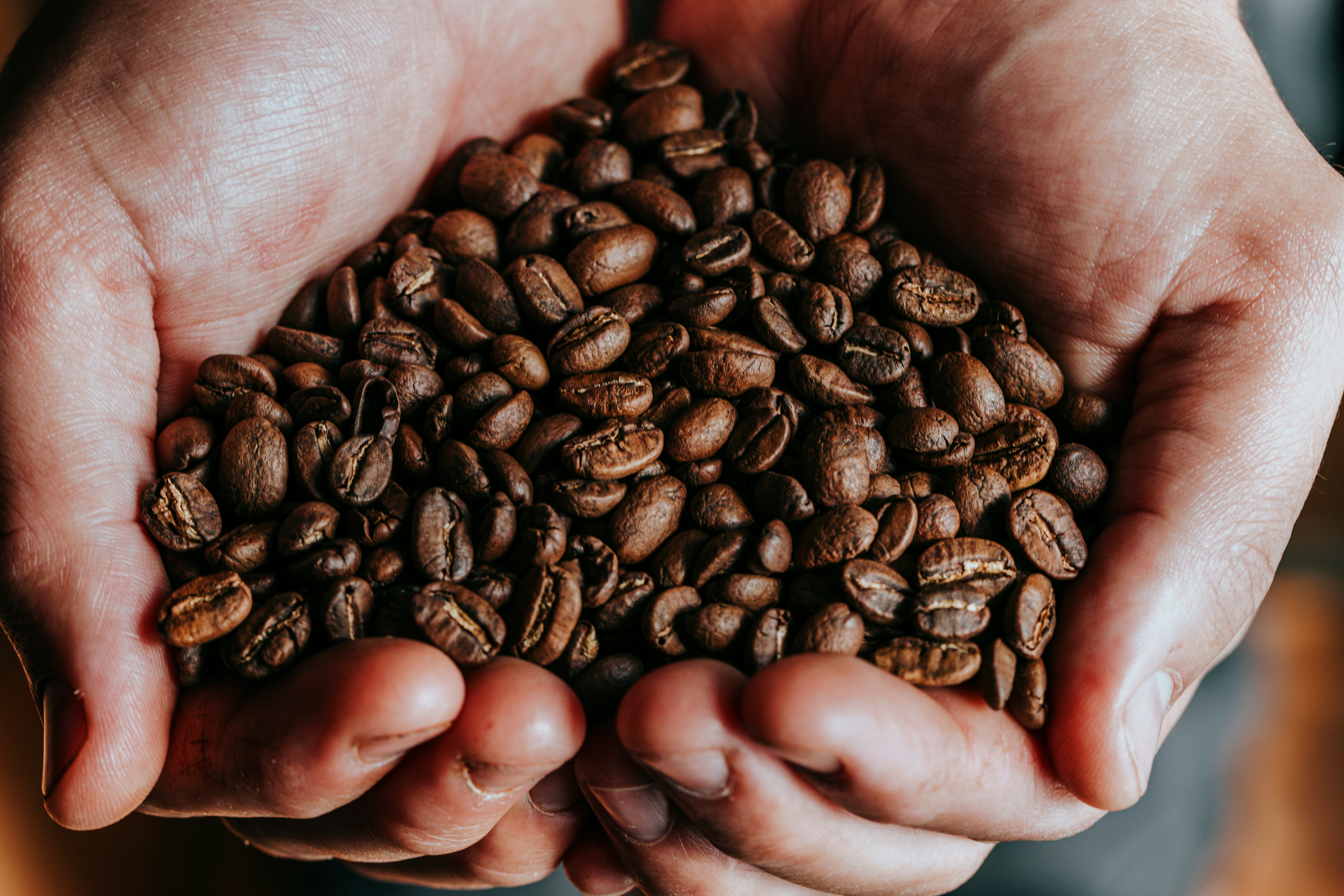 Photo by nate_dumlao