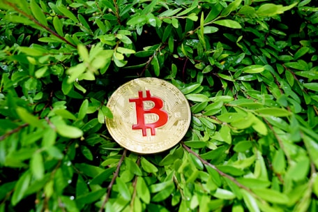 A gold-colored coin featuring a Bitcoin symbol in red is nestled among lush green leaves, suggesting a blend of technology and nature.