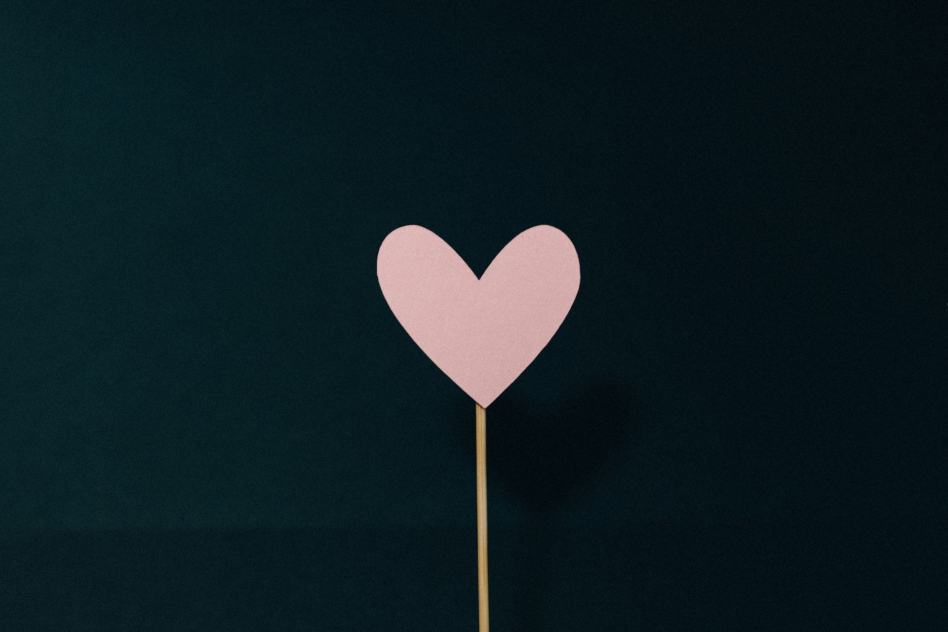 heart shaped pink and white hearts illustration