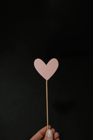 black and white heart illustration