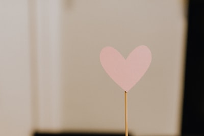 pink heart with brown stick cesar chavez day google meet background