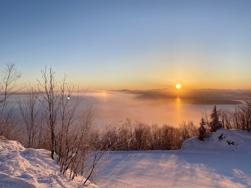 snow covered field during sunset