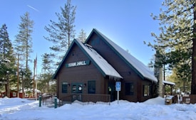 A wooden town hall building is surrounded by snow, with icicles hanging from the roof. The structure is nestled among tall pine trees, and an American flag is visible on a pole nearby.